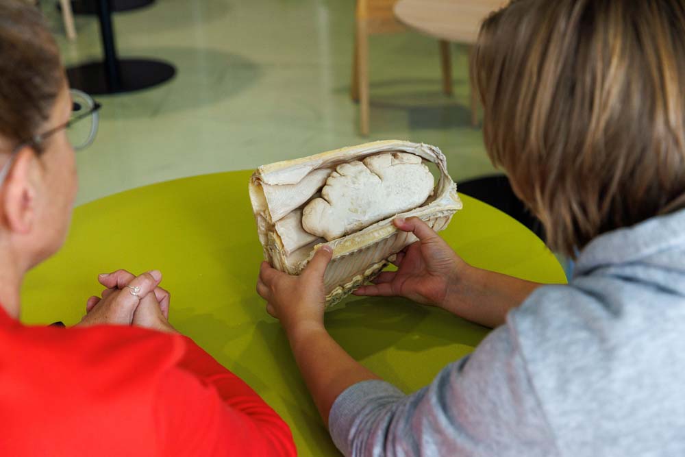 05-10-2022: Drieluik Diergeneeskunde